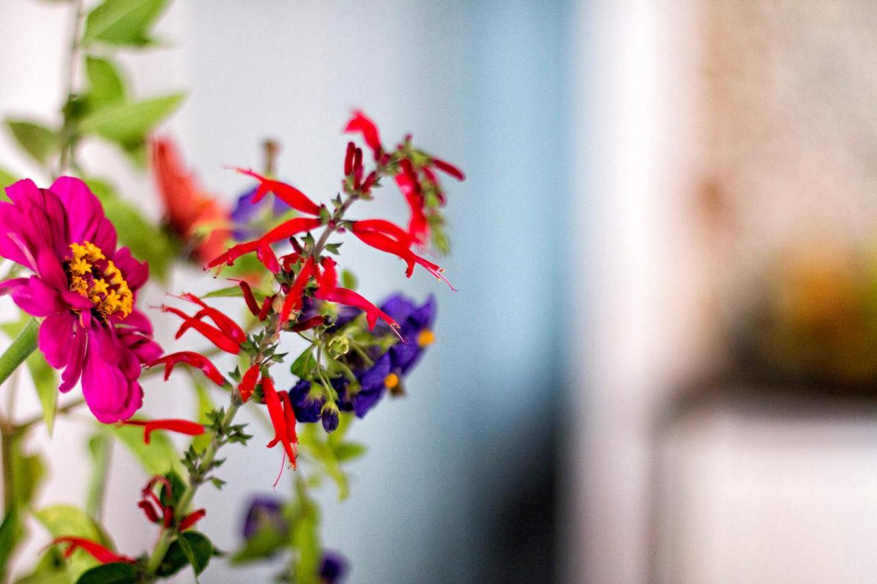 Chezmoihomes Sweet & Trendy Nest In Granada Center For 6 ภายนอก รูปภาพ